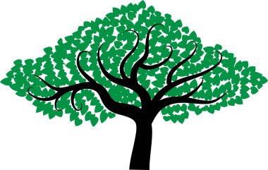 güzel dizayn uzun ağaçlar