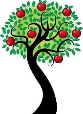 güzel dizayn uzun ağaçlar