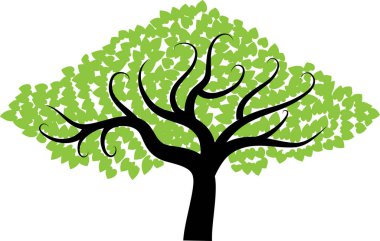 güzel dizayn uzun ağaçlar