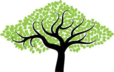 güzel dizayn uzun ağaçlar