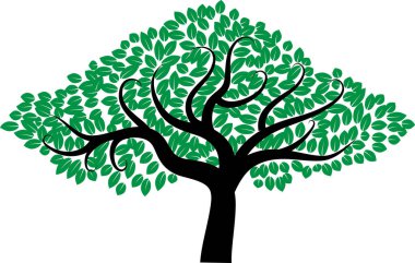 güzel dizayn uzun ağaçlar