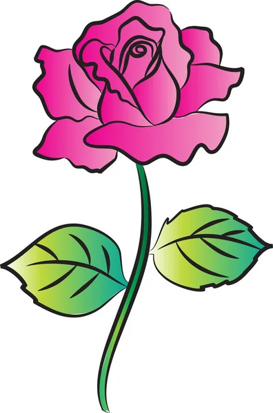 Rose Bloem Vector Illustratie — Stockvector