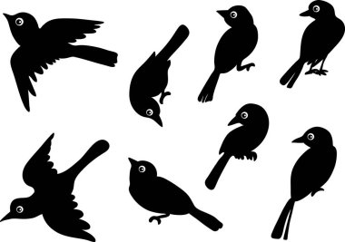 kuş vektör çizimi arkaplanı 