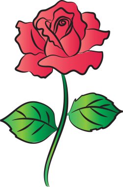 Gül çiçeği vektör illüstrasyonu