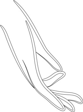 çiçek web vektör resimleme arkaplanı