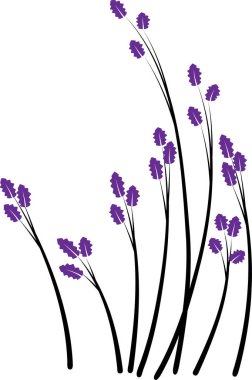 Beyaz arkaplan, vektör, illüstrasyon üzerinde izole edilmiş yaprakları olan renkli düz ağaç dalları