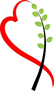 kalp şeklinde kırmızı çiçek