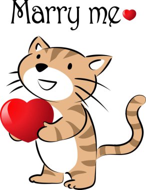 beyaz arka planda izole edilmiş kalbi olan küçük sevimli bir kedi. Romantik bir kavram. 