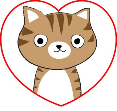 beyaz arka planda izole edilmiş kalbi olan küçük sevimli bir kedi. Romantik bir kavram. 