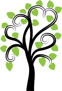 güzel dizayn uzun ağaçlar