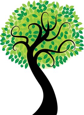 güzel dizayn uzun ağaçlar