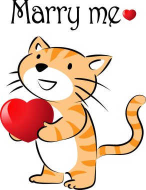 beyaz arka planda izole edilmiş kalbi olan küçük sevimli bir kedi. Romantik bir kavram. 