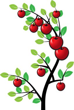 güzel dizayn uzun ağaçlar