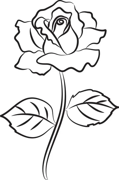 Rosa Fiore Vettoriale Illustrazione — Vettoriale Stock
