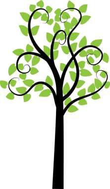 güzel dizayn uzun ağaçlar