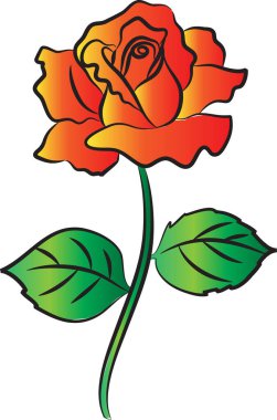 Gül çiçeği vektör illüstrasyonu