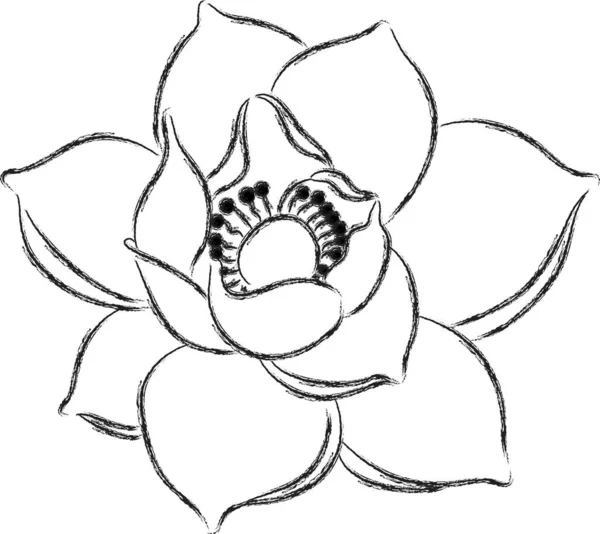 Tecknad Vacker Lotus Blomma Isolerad Vit Bakgrund Vektor Illustration — Stock vektor