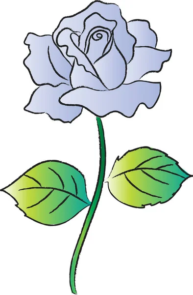 Róża Kwiat Wektor Ilustracja — Wektor stockowy