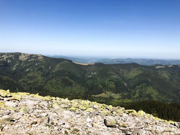 Mountain valley near the Khomyak mountain in the Carpathian mountains — ストック写真