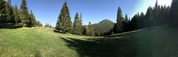 Mountain valley near the Khomyak mountain in the Carpathian mountains — Stock Photo, Image