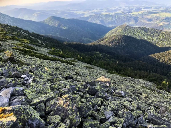 Mountain valley near the Khomyak mountain in the Carpathian mountains — ストック写真