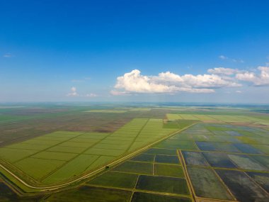 Pirinç tarlaları su basmış. Sular altında pirinç paddies. Alanları pirinç büyüyen Agronomik yöntemleri. Ekili hangi pirinç suda alanlarla sel. Yukarıdan görüntülemek.