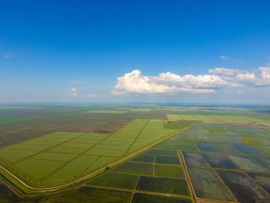 Pirinç tarlaları su basmış. Sular altında pirinç paddies. Alanları pirinç büyüyen Agronomik yöntemleri. Ekili hangi pirinç suda alanlarla sel. Yukarıdan görüntülemek.