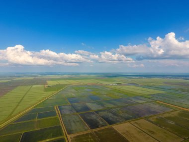 Pirinç tarlaları su basmış. Sular altında pirinç paddies. Alanları pirinç büyüyen Agronomik yöntemleri. Ekili hangi pirinç suda alanlarla sel. Yukarıdan görüntülemek.