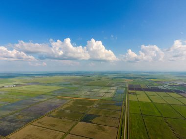 Pirinç tarlaları su basmış. Sular altında pirinç paddies. Alanları pirinç büyüyen Agronomik yöntemleri. Ekili hangi pirinç suda alanlarla sel. Yukarıdan görüntülemek.