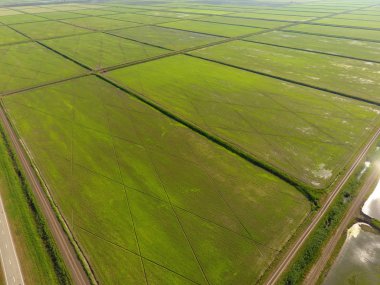 Pirinç tarlaları su basmış. Sular altında pirinç paddies. Alanları pirinç büyüyen Agronomik yöntemleri. Ekili hangi pirinç suda alanlarla sel. Yukarıdan görüntülemek.
