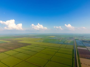Pirinç tarlaları su basmış. Sular altında pirinç paddies. Alanları pirinç büyüyen Agronomik yöntemleri. Ekili hangi pirinç suda alanlarla sel. Yukarıdan görüntülemek.