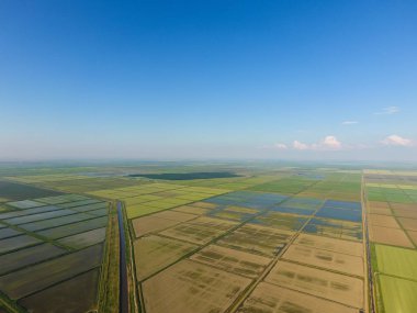 Pirinç tarlaları su basmış. Sular altında pirinç paddies. Alanları pirinç büyüyen Agronomik yöntemleri. Ekili hangi pirinç suda alanlarla sel. Yukarıdan görüntülemek.