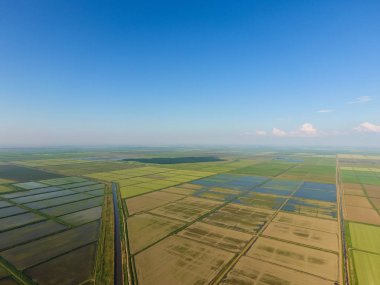 Pirinç tarlaları su basmış. Sular altında pirinç paddies. Alanları pirinç büyüyen Agronomik yöntemleri. Ekili hangi pirinç suda alanlarla sel. Yukarıdan görüntülemek.