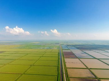 Pirinç tarlaları su basmış. Sular altında pirinç paddies. Alanları pirinç büyüyen Agronomik yöntemleri. Ekili hangi pirinç suda alanlarla sel. Yukarıdan görüntülemek.