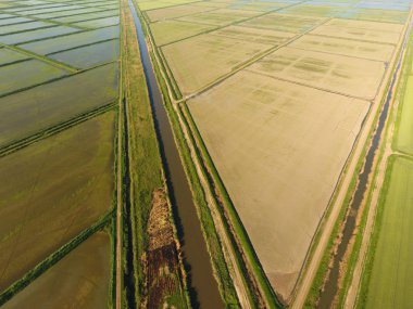 Pirinç tarlaları su basmış. Sular altında pirinç paddies. Alanları pirinç büyüyen Agronomik yöntemleri. Ekili hangi pirinç suda alanlarla sel. Yukarıdan görüntülemek.