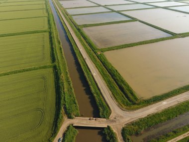Pirinç tarlaları su basmış. Sular altında pirinç paddies. Alanları pirinç büyüyen Agronomik yöntemleri. Ekili hangi pirinç suda alanlarla sel. Yukarıdan görüntülemek.