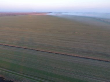 Çim sahada çok uzak bir yere yanıyor. Sulama kanalı kuru ot yakma. Duman ve kuru ot alevi. Yanmış kuru ot