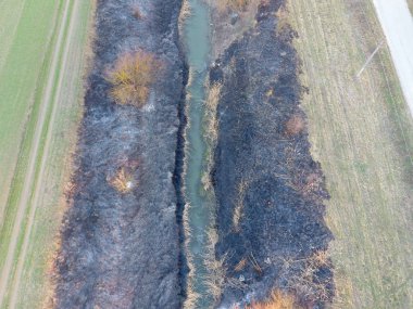 Yanık sazlık ve kıyı ile sulama kanalı. Çim küllerinden