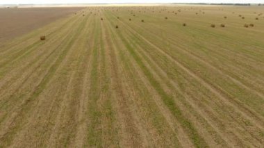 Balya saman alanında. Saman hayvan yem hasat. Saman ile peyzaj alanı