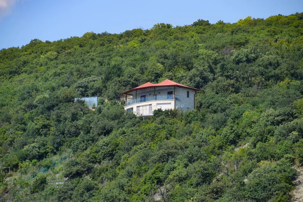 観光客のための山の上の家 木の中の家 — ストック写真