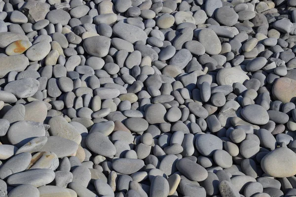 Mar Guijarros Textura Fondo Piedra Playa Del Mar — Foto de Stock