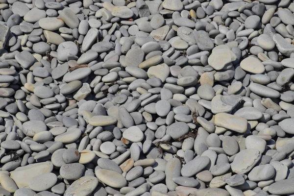 Mar Guijarros Textura Fondo Piedra Playa Del Mar — Foto de Stock