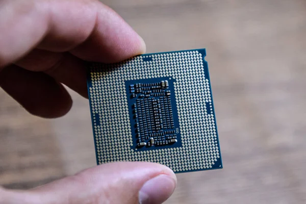 De processor is een desktopcomputer in de hand. De Cpu-contactpersonen controleren alvorens te installeren — Stockfoto