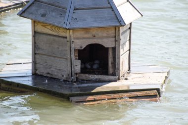 Gölde ördekler için evler. Ördekler dikkat çekici. Gri ördek için insan yapımı yuva