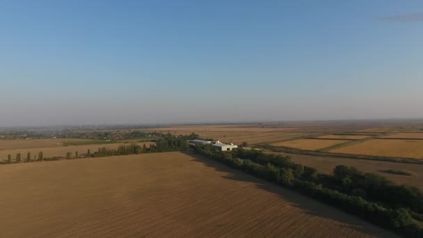 Aproximación a la terminal de grano situada entre los campos — Vídeo de stock