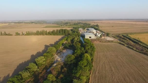 Aproximación a la terminal de grano situada entre los campos — Vídeo de stock