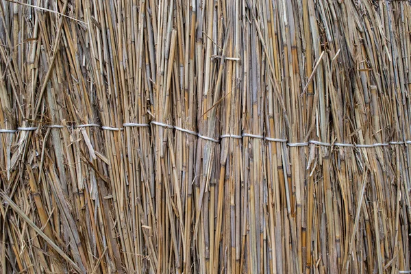 Fence Reeds Background Texture Reeds — Stock Photo, Image