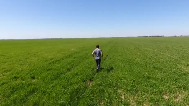 Man Running Field Jogging Fresh Air — Stock Video