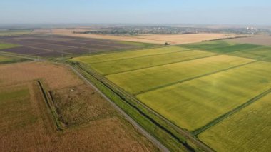 Sular altında pirinç paddies. Alanları pirinç büyüyen agronomik yöntemleri. Ekili hangi pirinç suda alanlarla sel. Yukarıdan görüntülemek