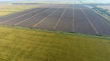 Pirinç su dolu alanlar üzerinde büyüyen. Olgun pirinç alanında, hasat başlangıcı. Kuş bakışı.